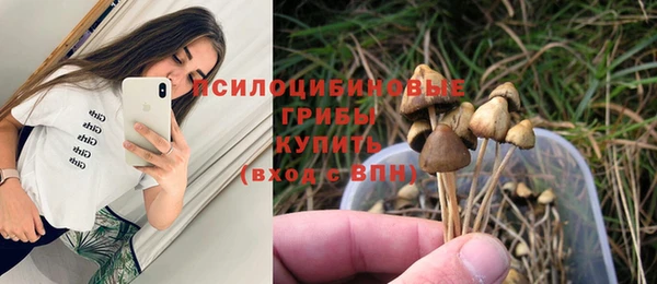 эйфоретик Армянск