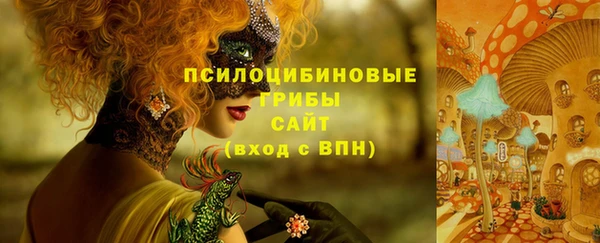 прущие крисы Баксан