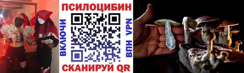 Псилоцибиновые грибы Magic Shrooms  Краснослободск 